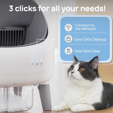 "Experience Freedom and Joy in Cat Care!"